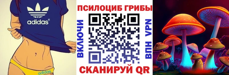 Купить где  Пролетарск  Псилоцибиновые грибы мицелий 